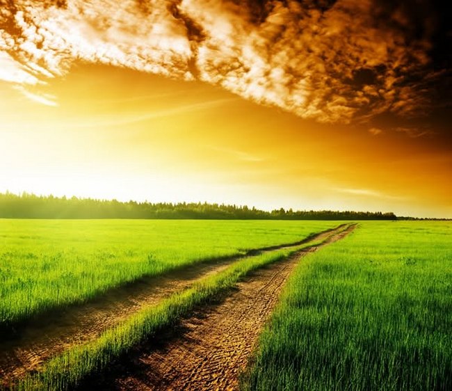 Qəza və qədər nədir?