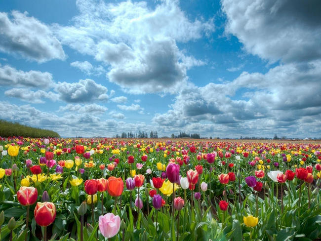 İzzətlilik nədir, təvazökarlıq nə? Bunların ifrat-təfriti necə olur?