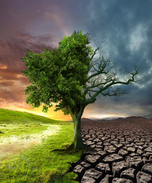 İnsanların bərzəxdəki halı