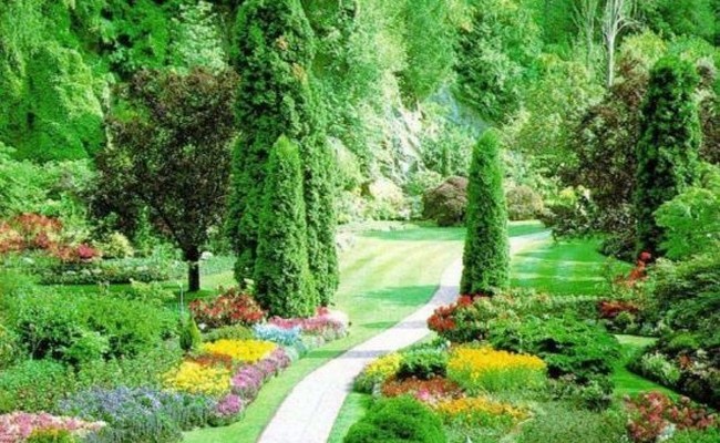 Cənnət əhlinin fərqləri