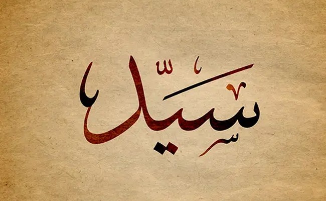 Kimlərə seyyid deyilir?